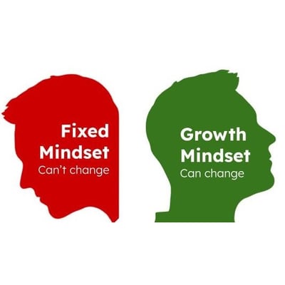 Adopt a Growth Mindset to Be, Do, and Have Everything You Want